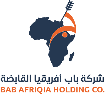 شركة باب أفريقيا القابضة